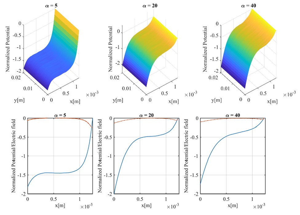 Ion Dynamics